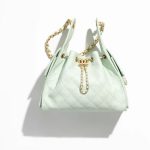 Chanel 25 Small Handbag Light Green