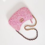 Chanel-19-bag-hoho-1.jpg