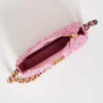 Chanel-19-bag-hoho-1.jpg