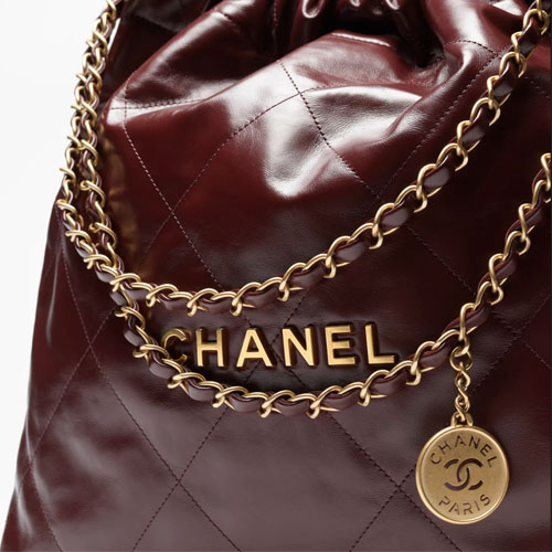 Chanel-22-Mini-Handbag-Dark-Brown-4.jpg
