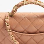 Chanel-Classic-Camel-Mini-Top-Handle-Bag-1.jpg