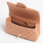 Chanel-Classic-Camel-Mini-Top-Handle-Bag-1.jpg