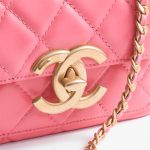 Chanel-Mini-Flap-Bag-1-2.jpg