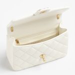 Chanel-Mini-Flap-Bag-5.jpg