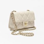 Chanel-Mini-Flap-Bag-Light-Beige-1.jpg