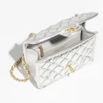 Chanel-Mini-Flap-Bag-Silvery-1-7562.webp