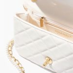MINI-FLAP-BAG-1-8.jpg